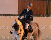 Berlin dei Folletti TosTour2013- S5 3199 : Arezzo, Arezzo Equestrian Centre, Berlin dei Folletti, Cavalli d'Italia, Toscana Tour 2013, foto di Stefano Secchi ©